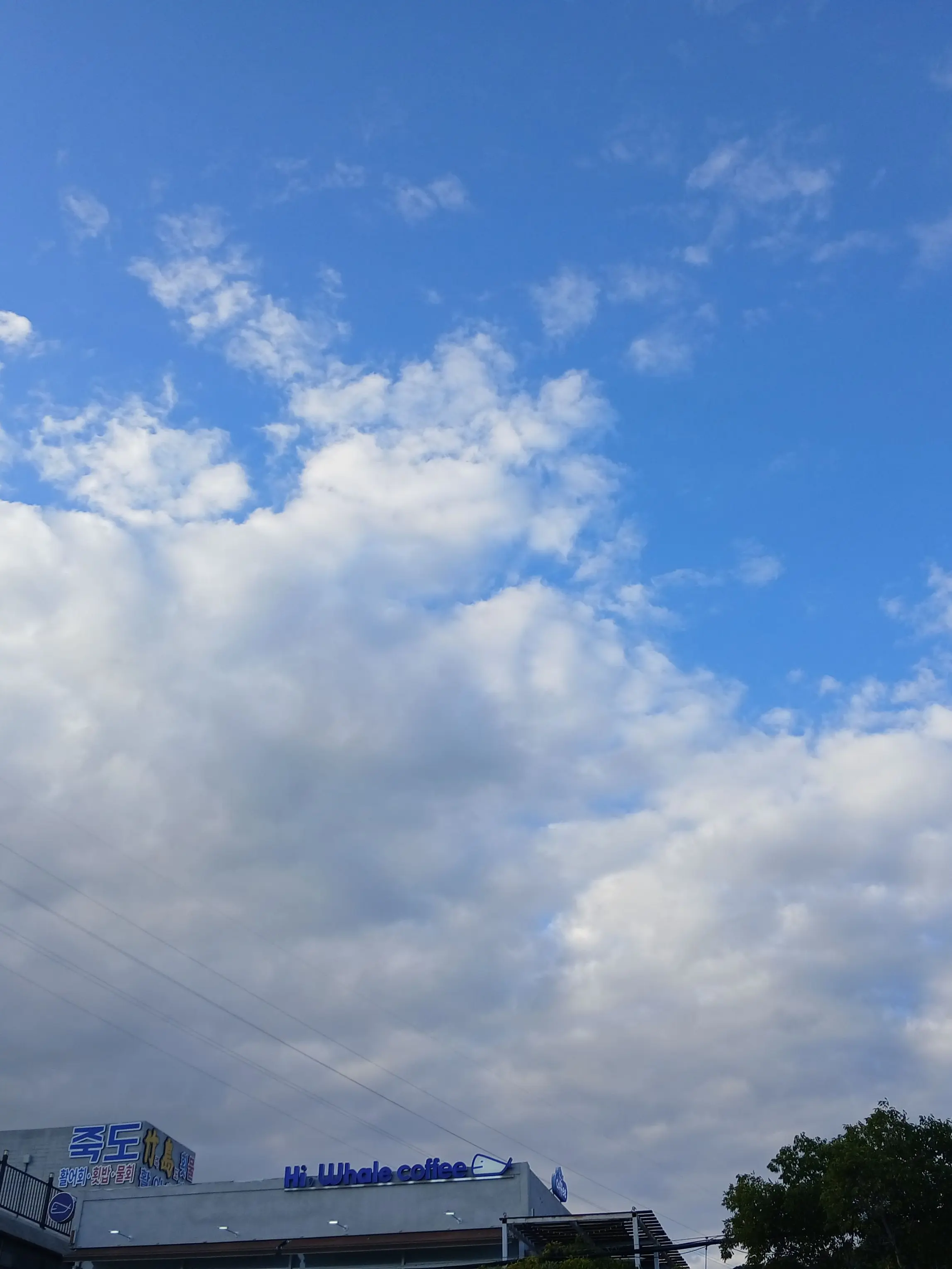 FoggyShock5516의 남여무리에서 싸움?!