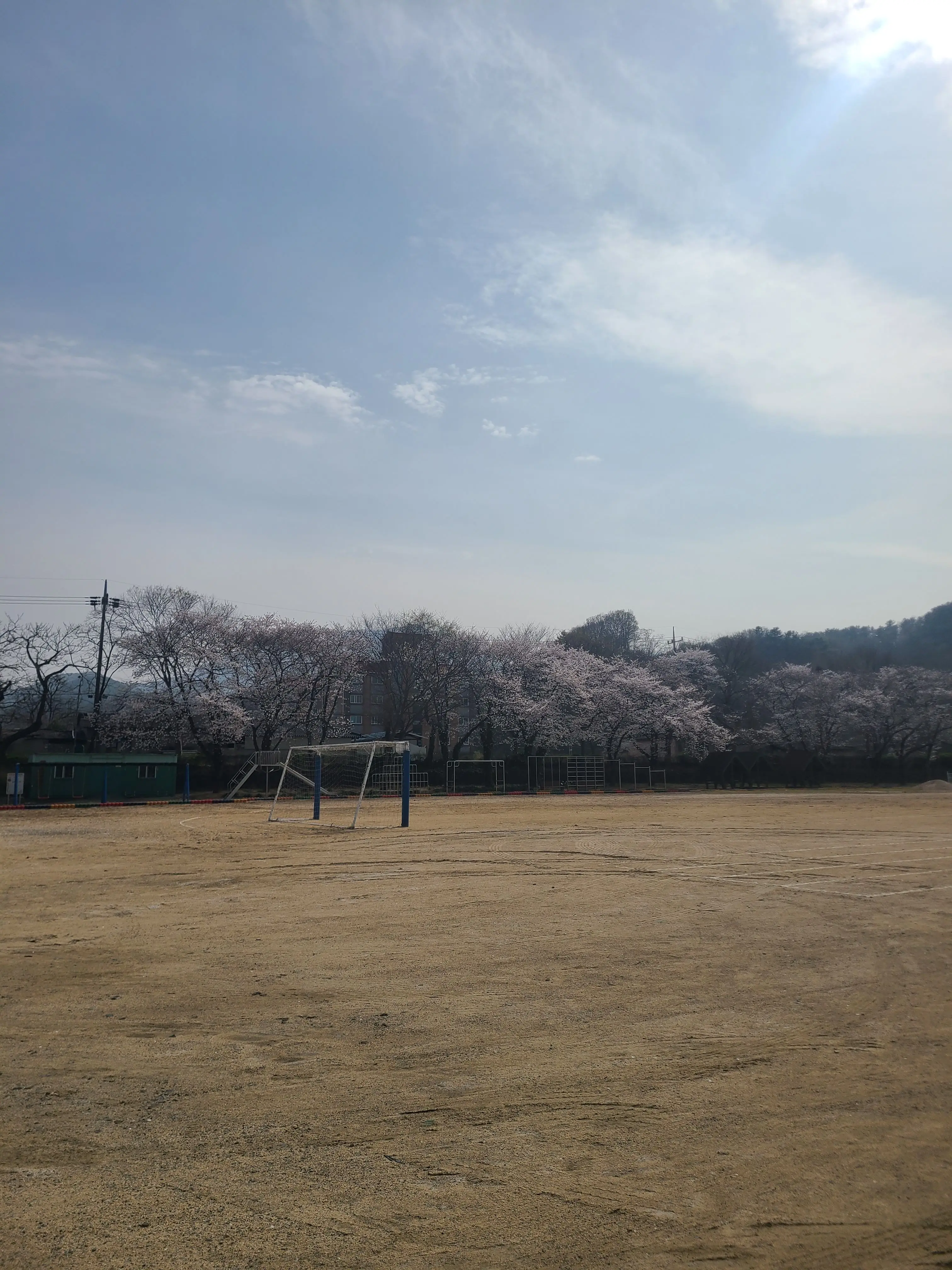 WidePika1344의 유튜버들의 대학생활은 어떨까??