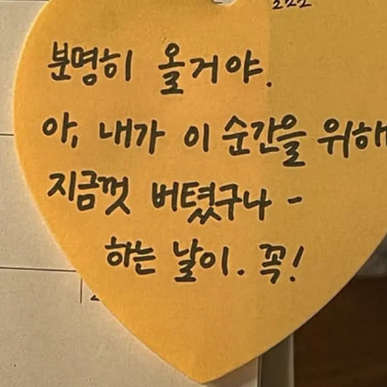 Warlwarl의 밴드LUCY