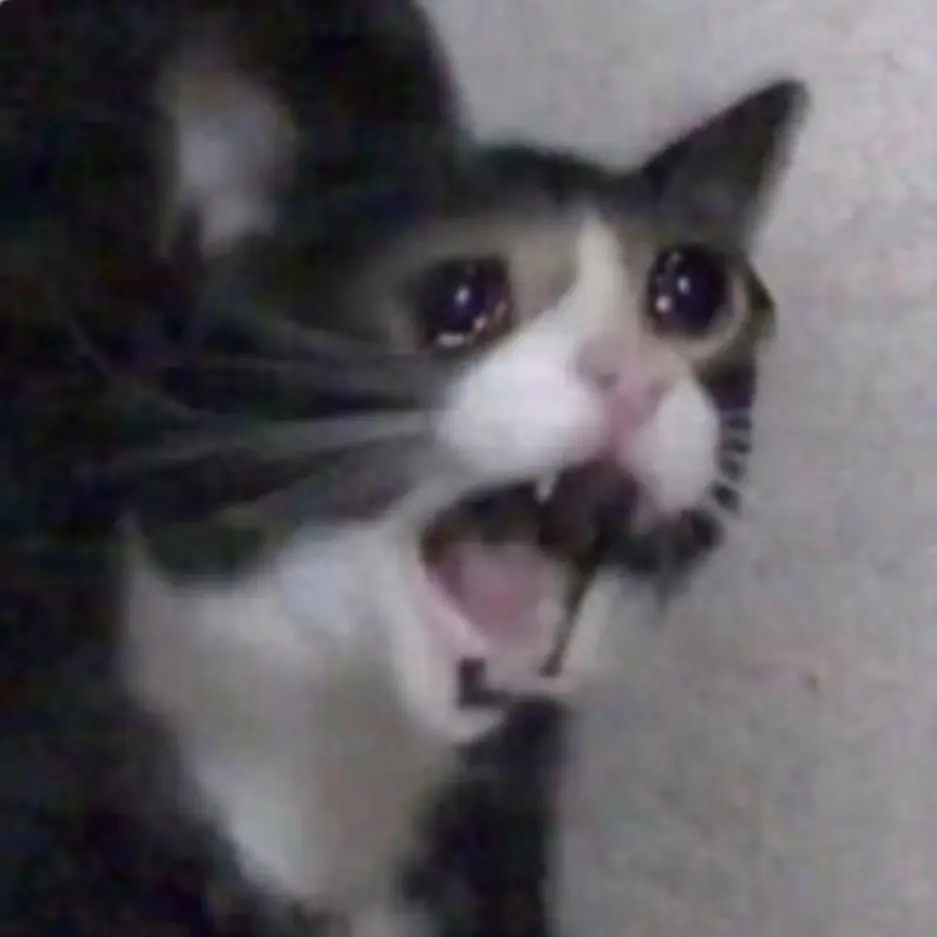 Ratchel_Bbapsae의 라이트 3인방