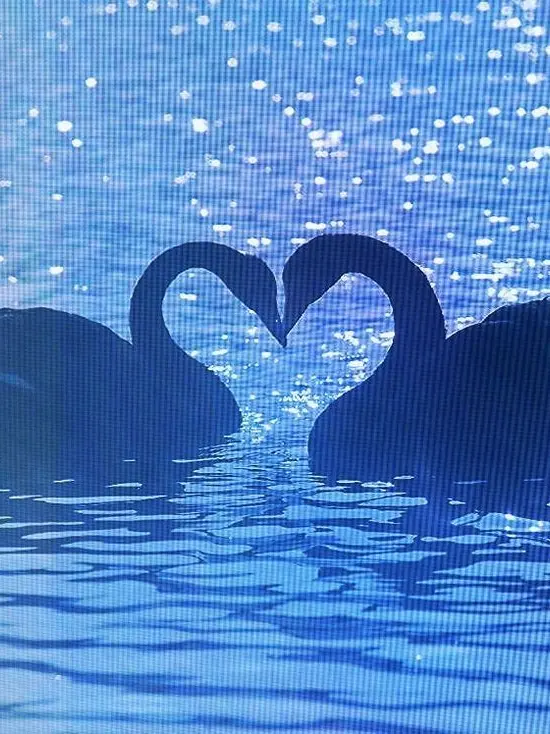 OnlyMine의 初恋？そんなわけないだろー！！