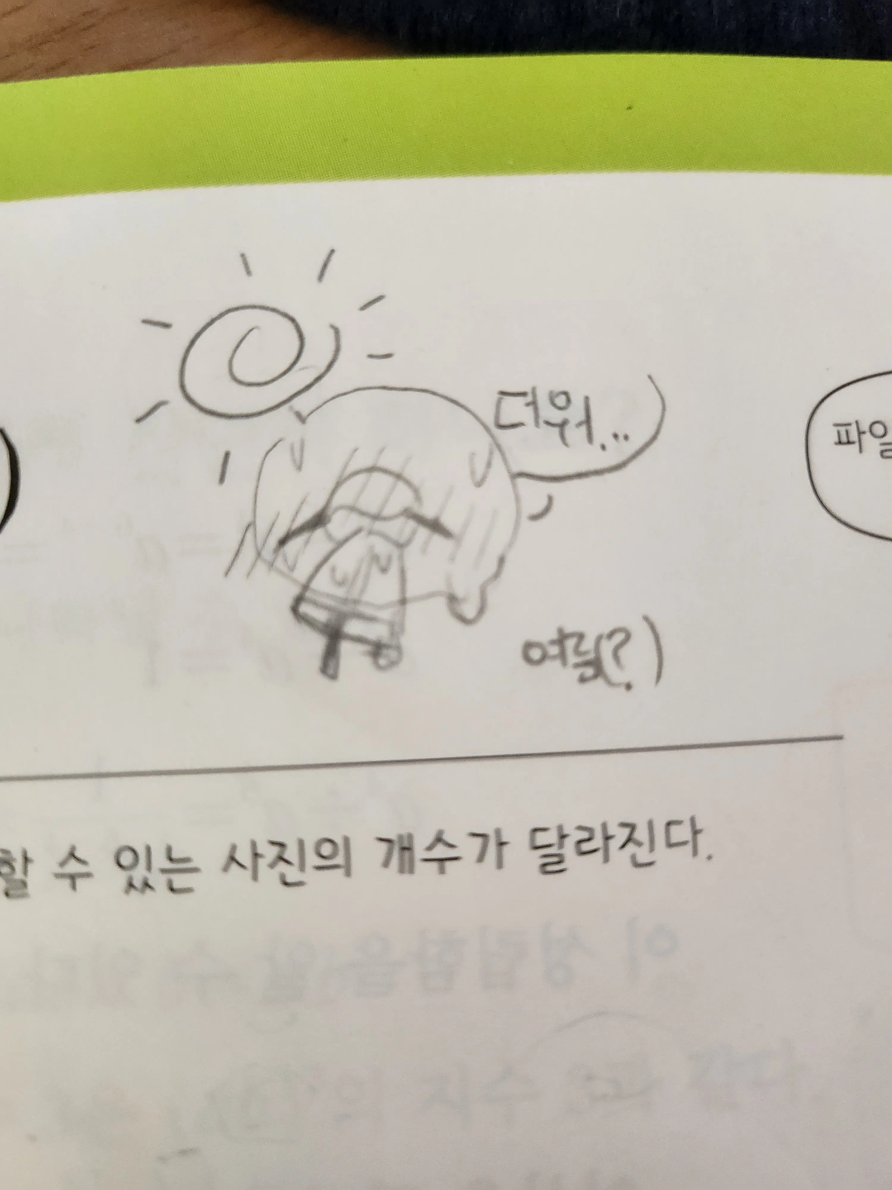 TinyXerus0v0의 한국?...