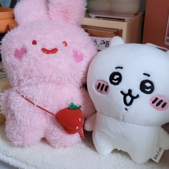 두부 토순
