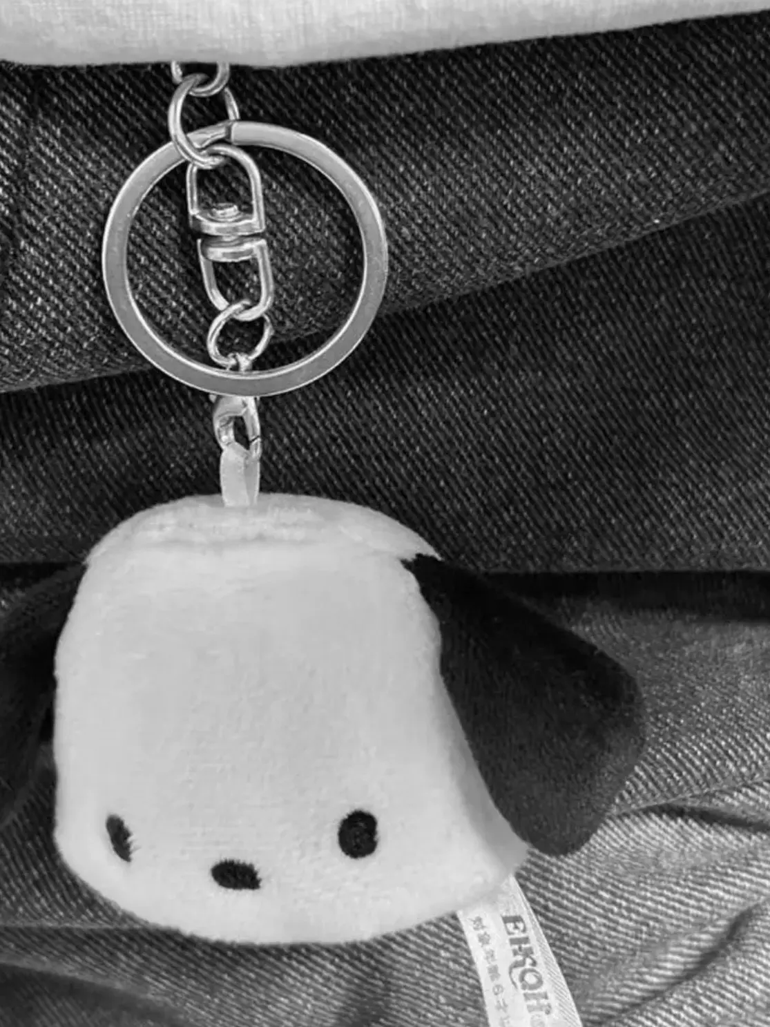 mi.xs0l_의 강아지 두마리 생겨버린 썰