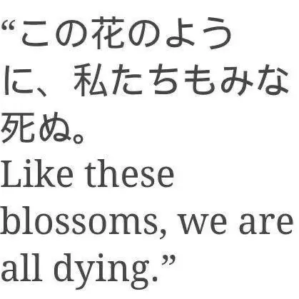 mironamo의 韓在○