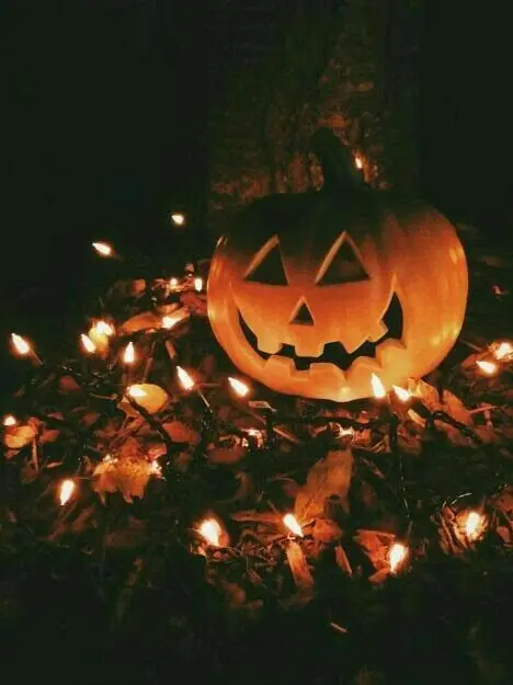 CalmOwl0929의 조금 뭔가 달라진 할로윈.