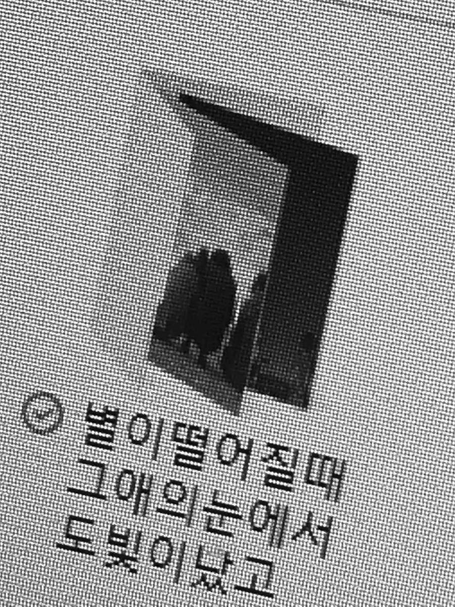 Halcyon.의 편련(片戀)