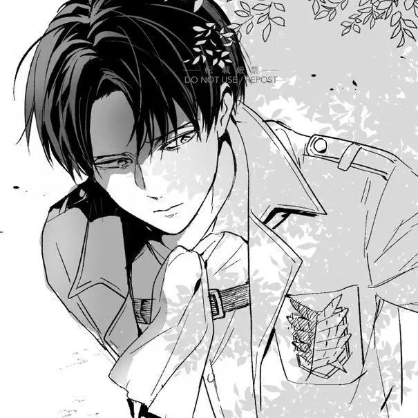 OrnateDay7639의 리바이 아커만