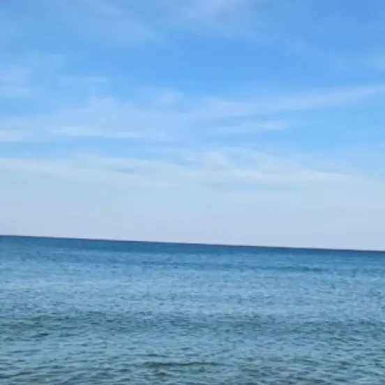 likeoceanfish의 앞으로 함께 하자, 달콤아!