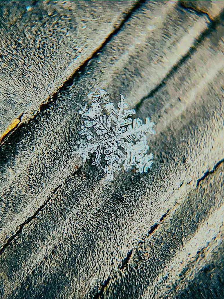 wowomg의 보고싶어, x년아.