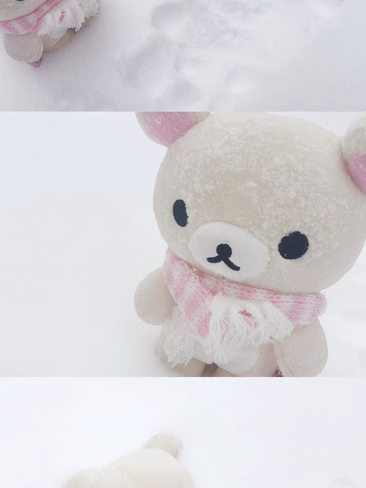 서라더 대표 이미지