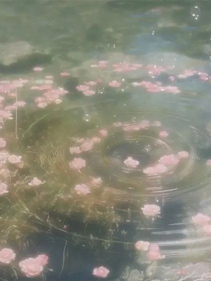 BABY_catchup의 ˚୨୧₊♱