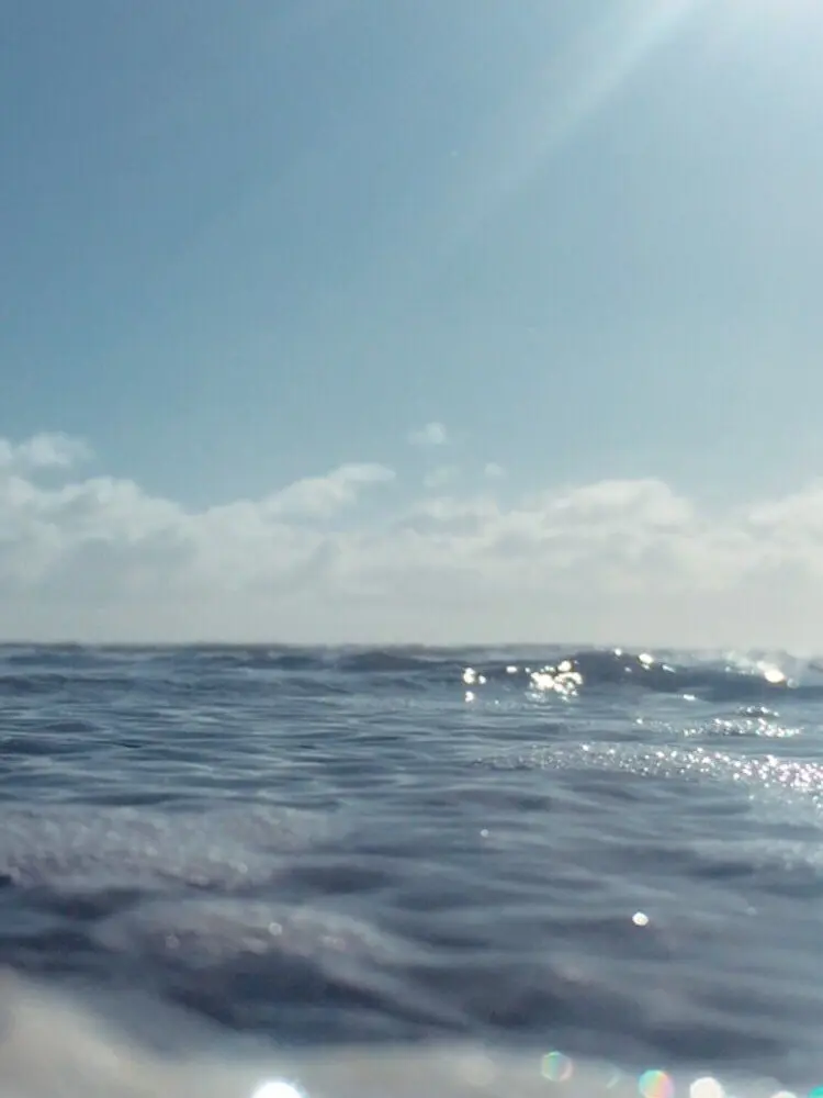 OOO_OOO_O의 女神を喰らうカトラリー