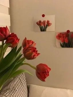 subj0514의 뜰팁히어로