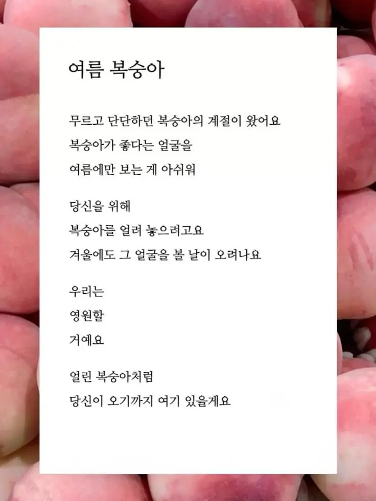 lsssA의 高永修