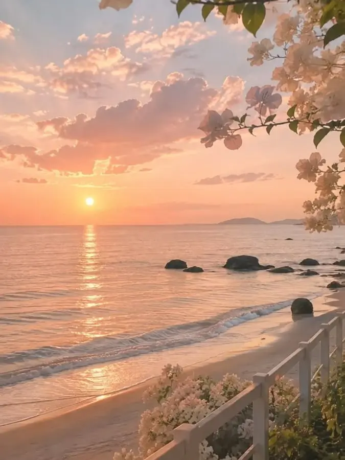 BrashMudi3715의 마음대로 하세요