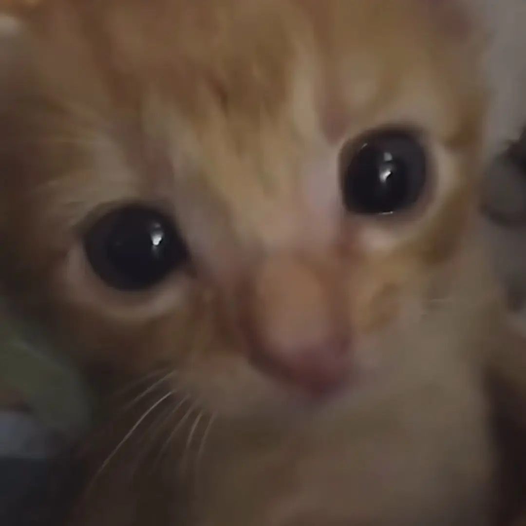 DryRings6563의 연하가 애교를 부린다