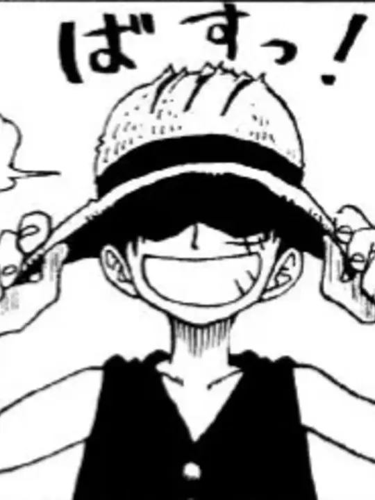 AfraidPlay6891의 麦わら帽