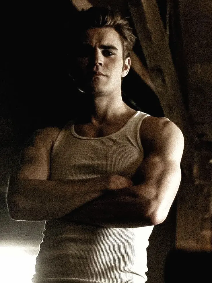 LankyShell4479의 The One Who Knew Stefan Before Elena