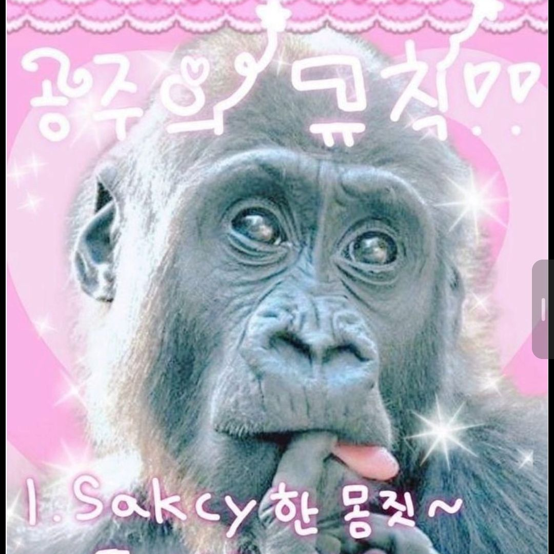 플러팅 타워하는 꽥탐 대표 이미지