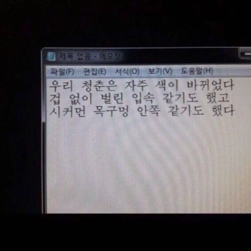 DYNASTY_의 四向: 사향