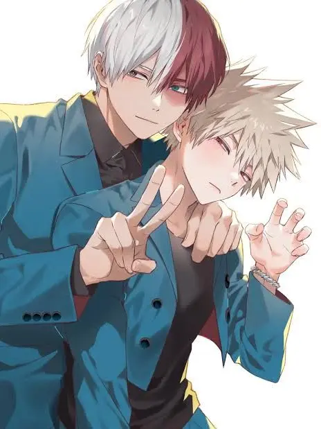 aniota의 ばくごーとしょーとに取り合いされます