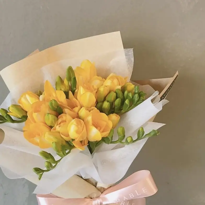 mi.xs0l_의 桃花