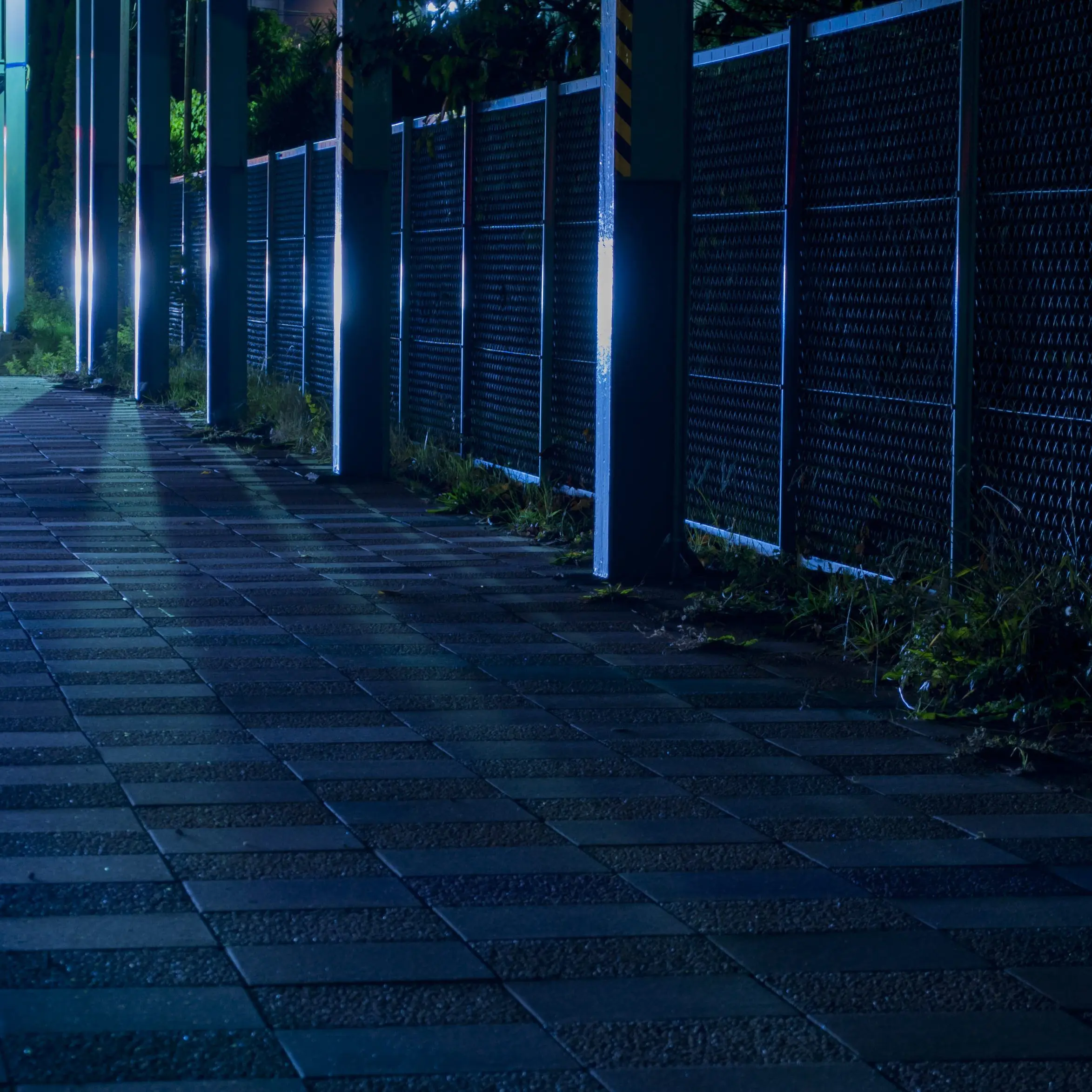 BUREIKOU의 しぐれうい、襲来