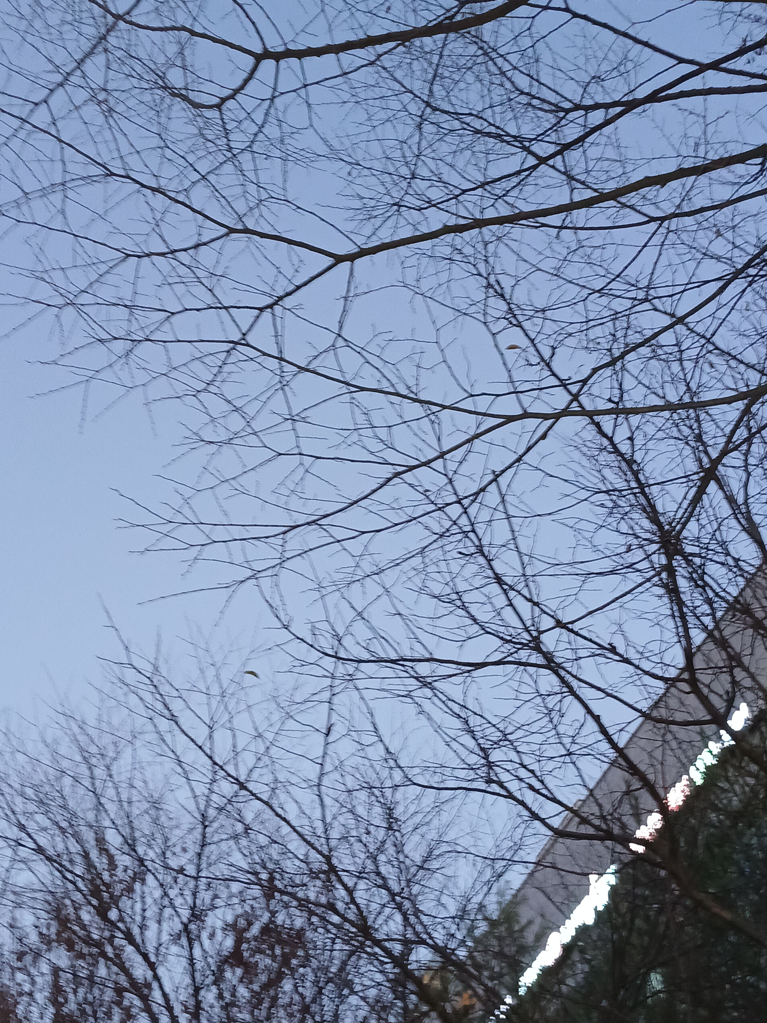 아, 아니 나한테 왜..? 대표 이미지