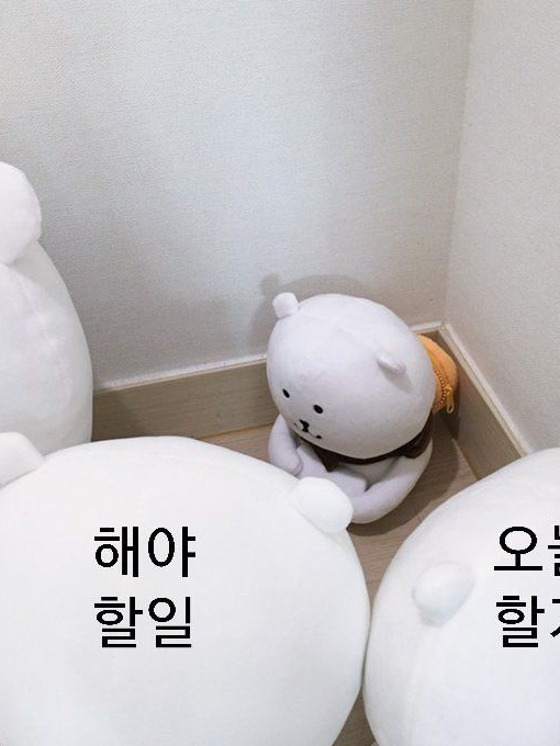 T1 군대(여우;) 대표 이미지