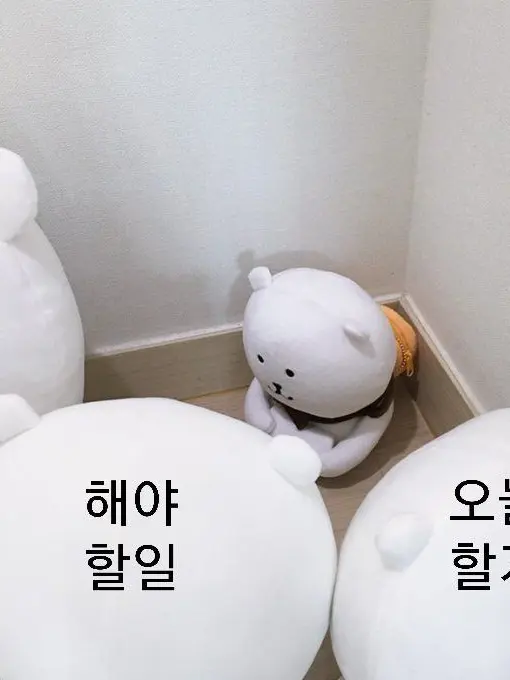 SeolmingL의 T1 군대(여우;)