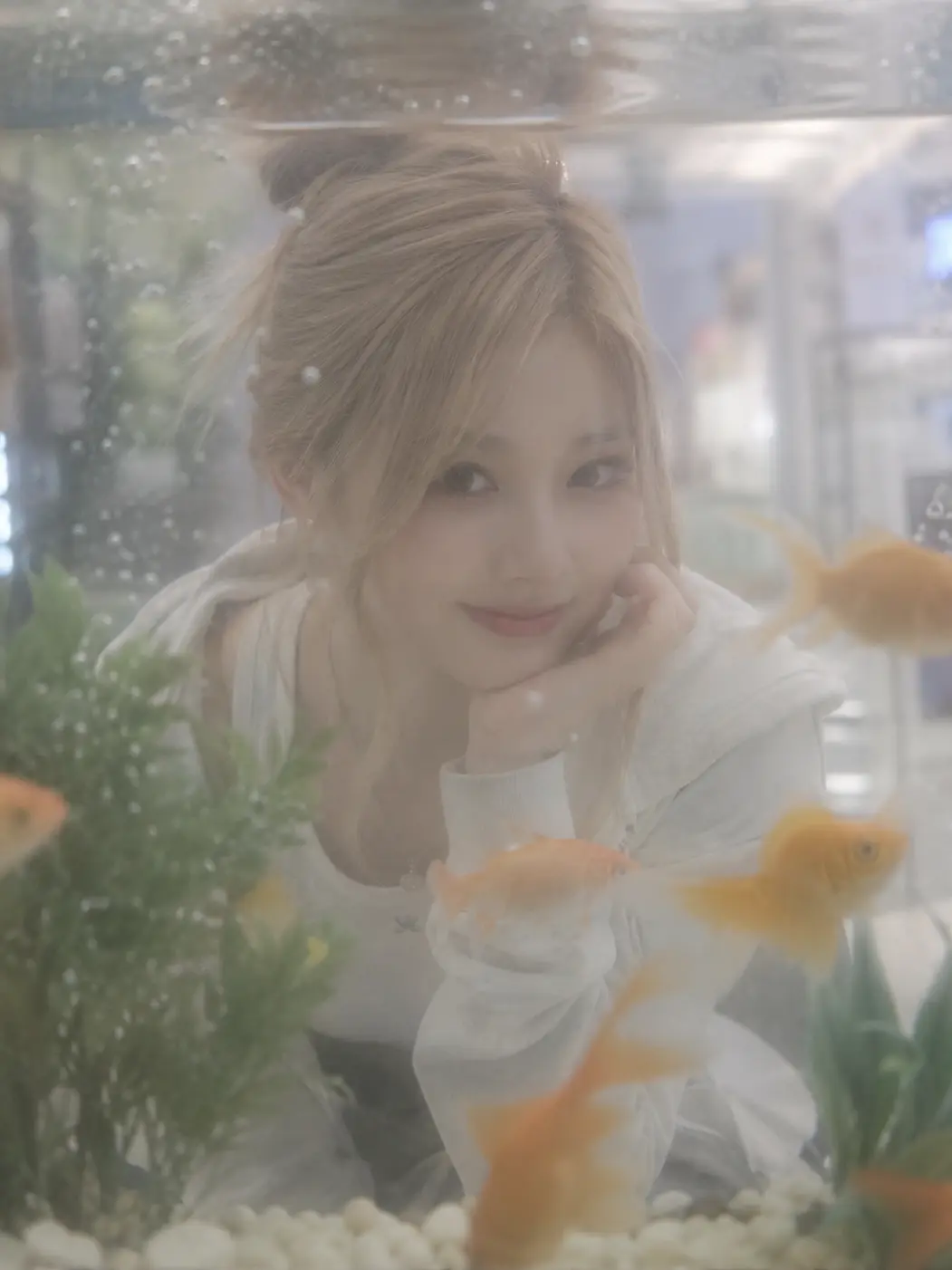 ozo1의 어항 맞은편에서 만난 그녀🐠