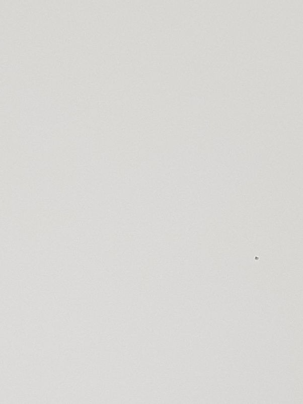 마리와 이즈나.근데 뭔가 잘못된 대표 이미지