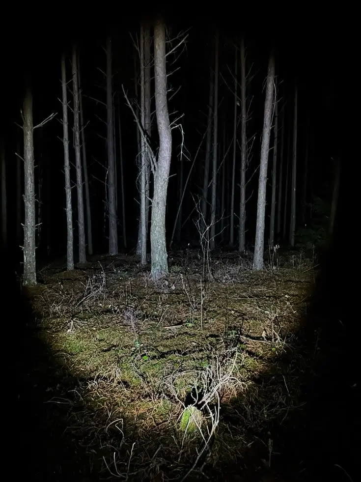 Dreamcoreinscreen의 Doppelgänger