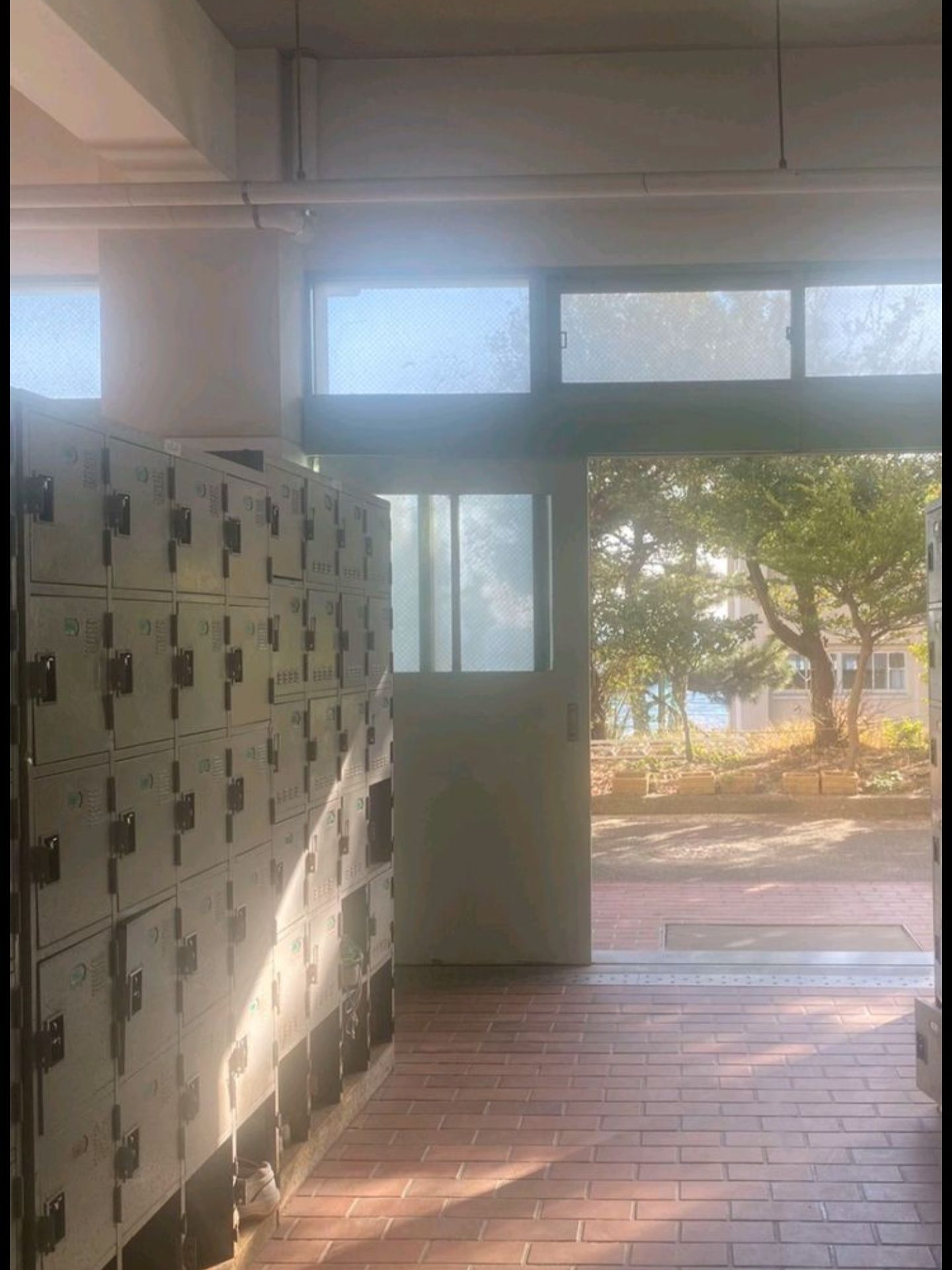 정이안 대표 이미지