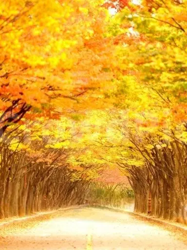 What_should_I_use_as_my_ID_Hmm의 인사드립니다