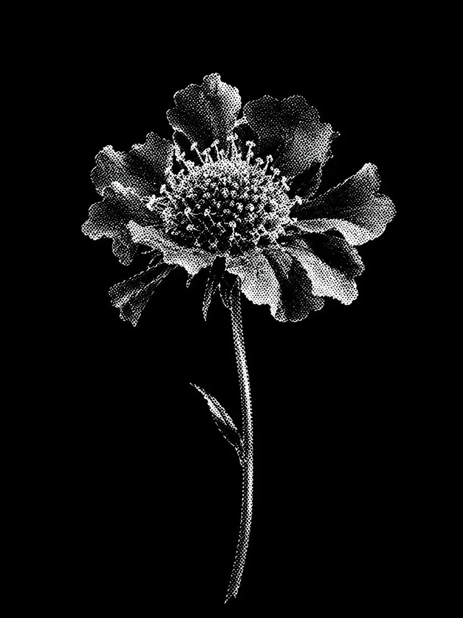 ___404의 ㅤ