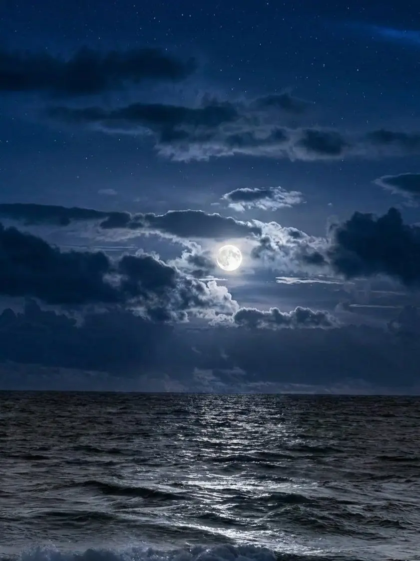 omoti0의 俺とお前だけの箱庭で。