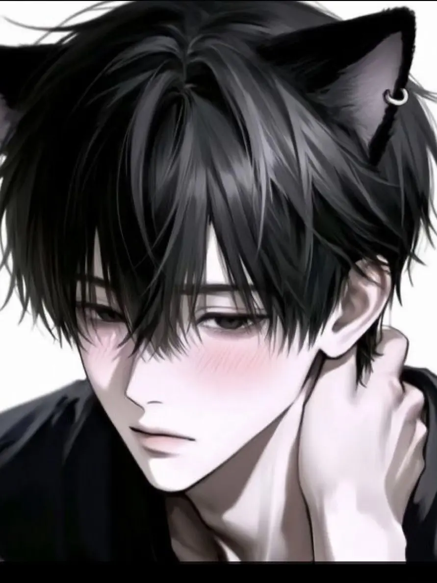 neko._.38n의 素直になれない黒猫くん。