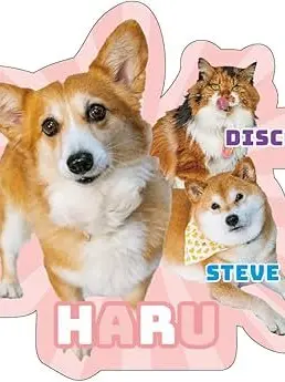 SweetBlow5894의 柴犬スティーブ