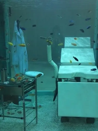Nendo의 ANIMAL HOSPITAL