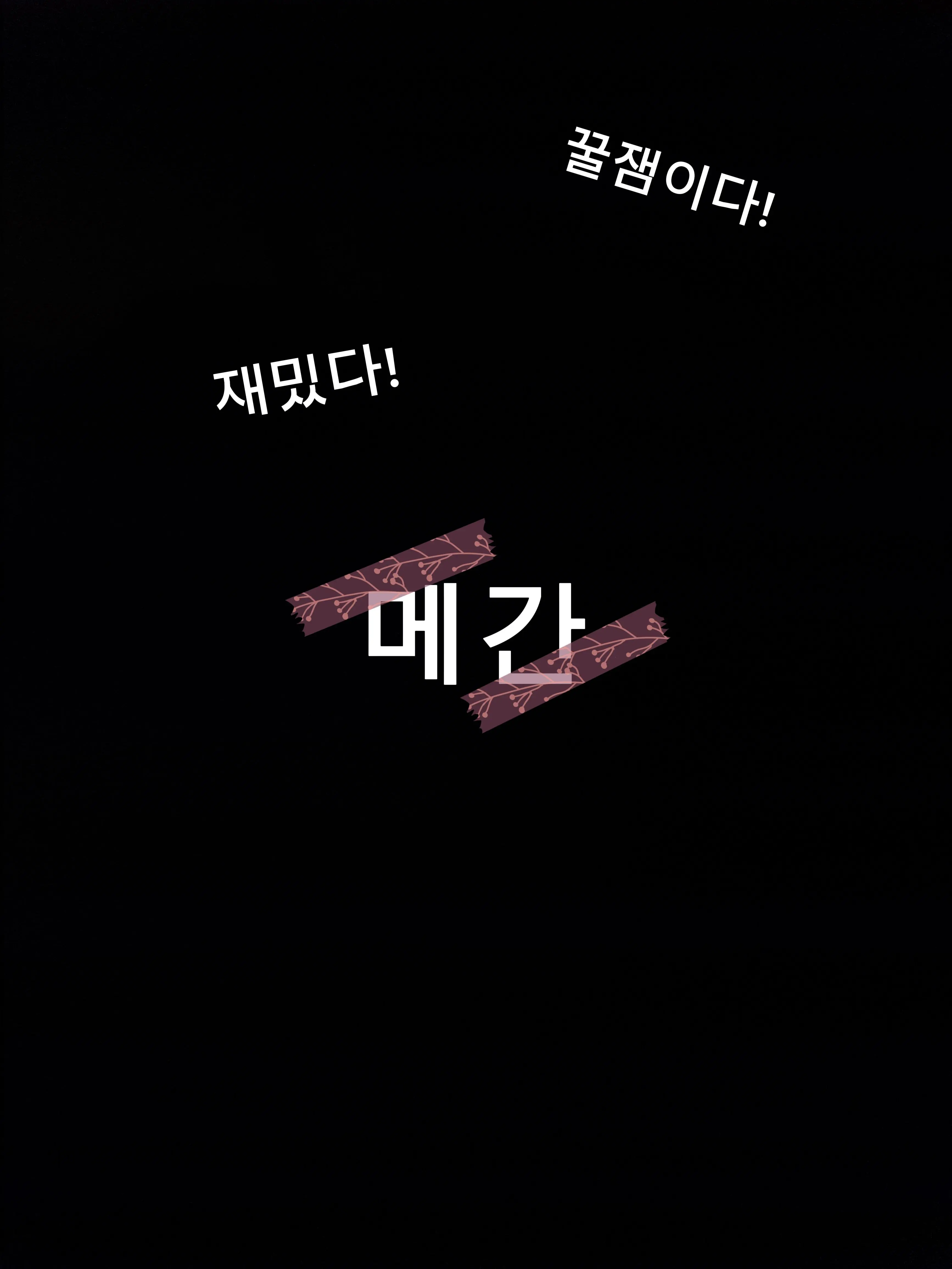 VSman의 메간