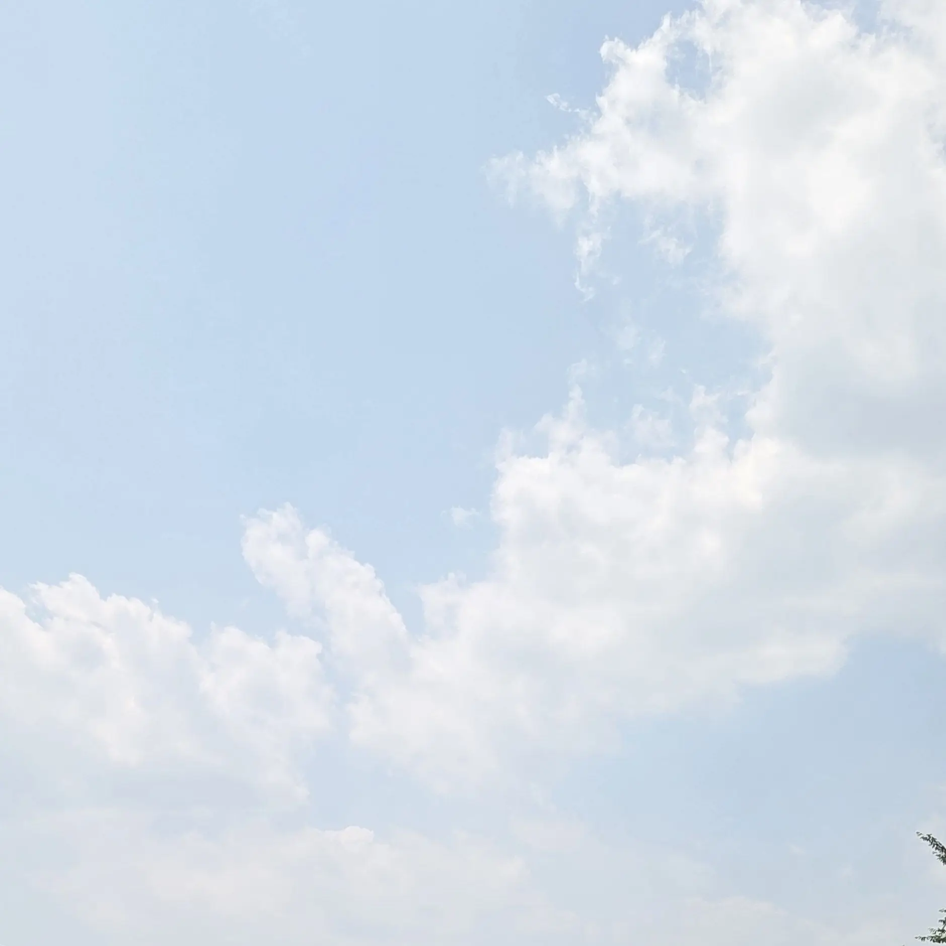 DaftlyStep1571의 세상에 처음 날때, 인연인 사람들은.