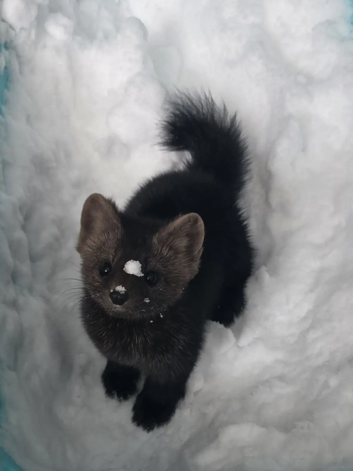 Inami4_ra의 個人用だぜbro