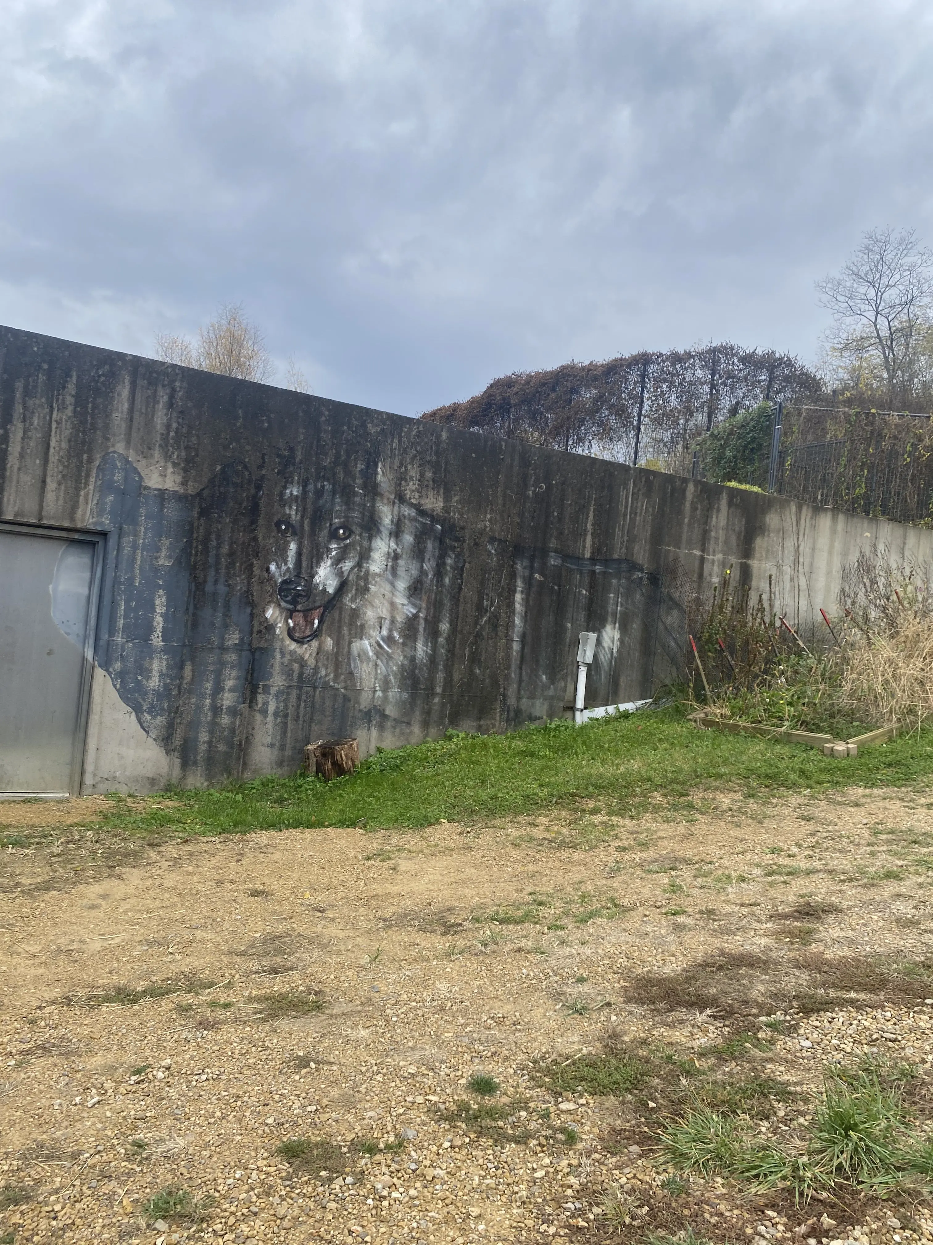 MistyTapir8044의 The six