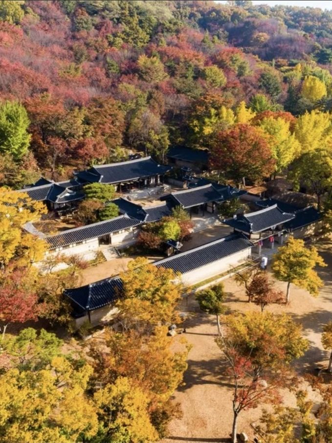 꽥탐 요괴들 대표 이미지