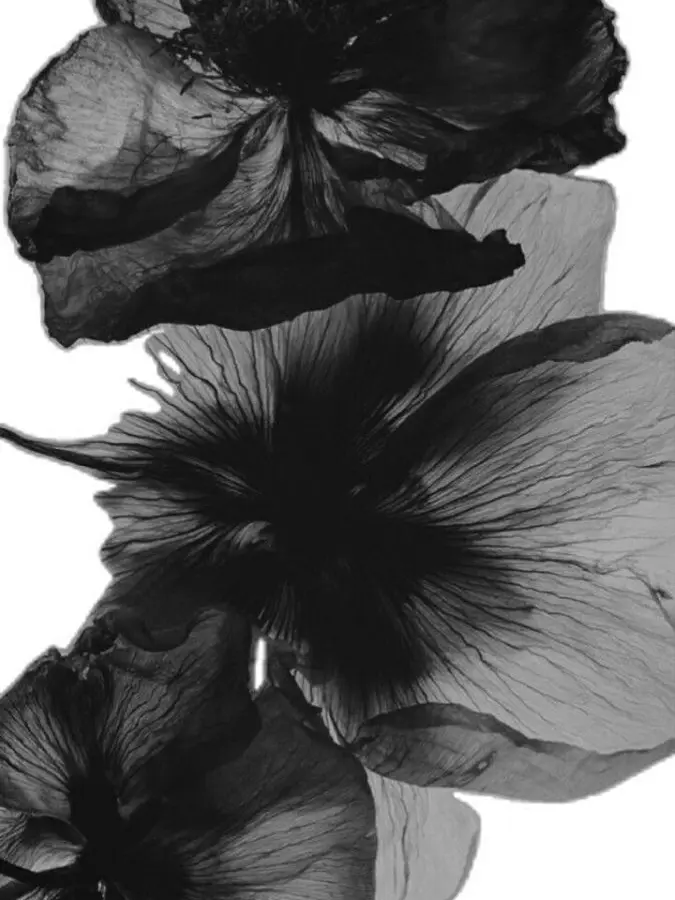 StupidCave8452의 刀