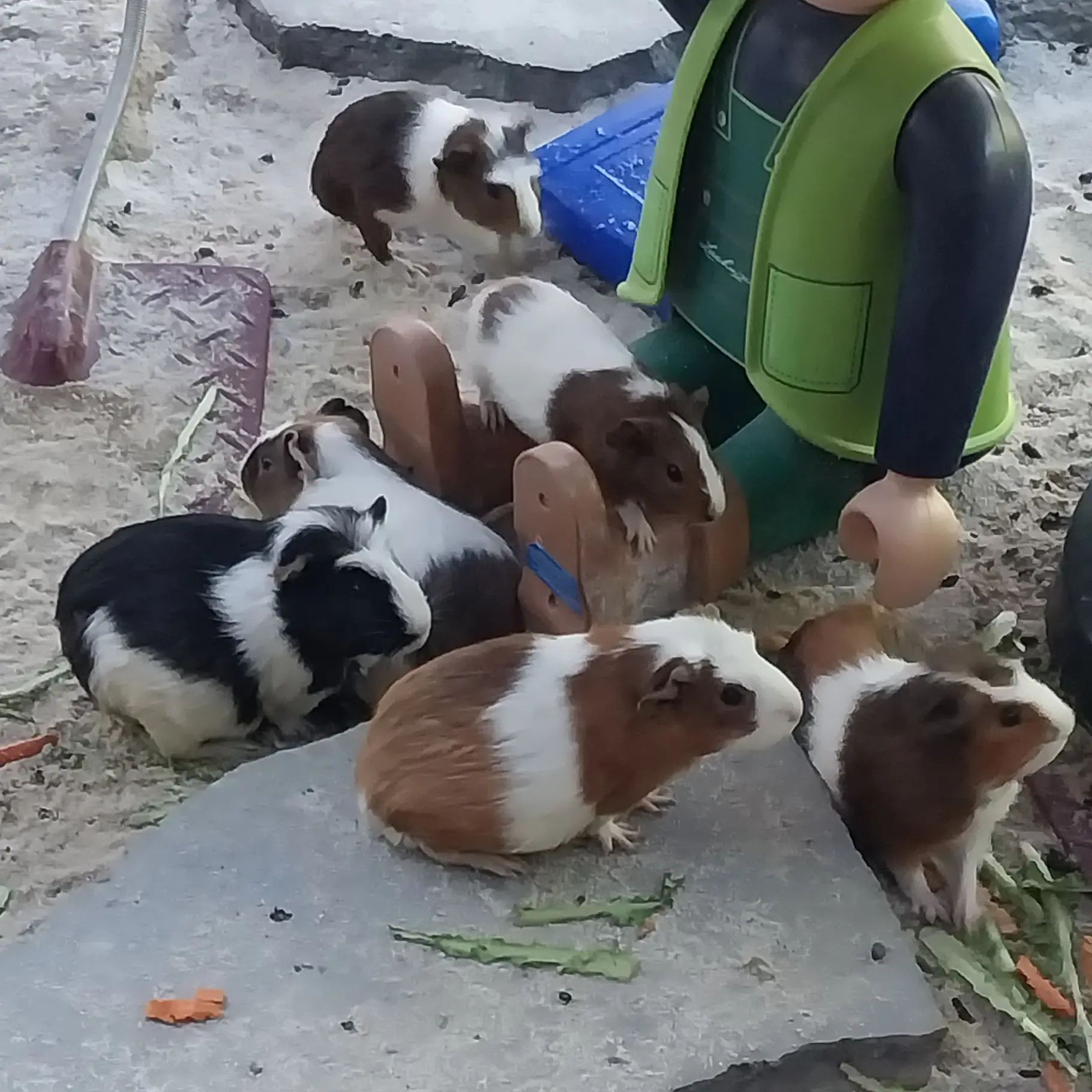 TAESAN_0417의 일진무리 F8(알파드라이브원+여우)