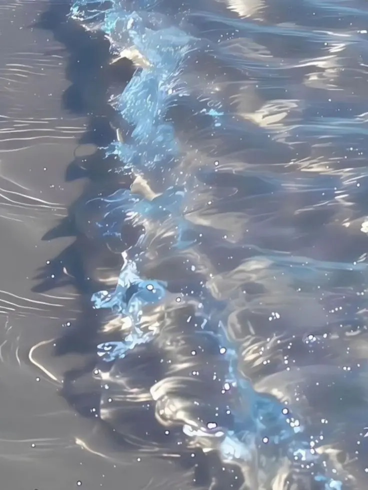 BoyfriendLove의 転校生に幼馴染が取られそう....