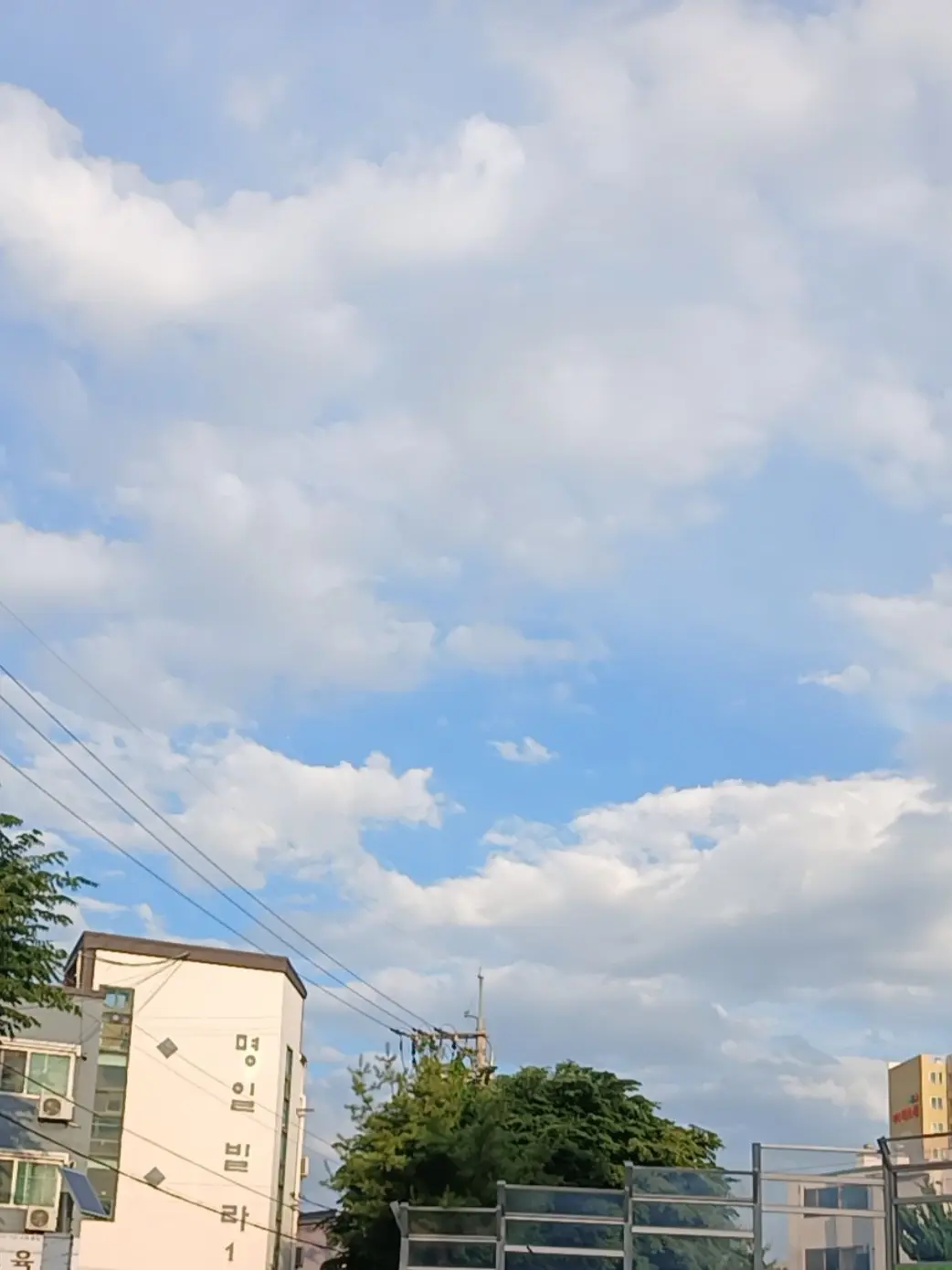 DaftlyFate6839의 미국 유학 생활